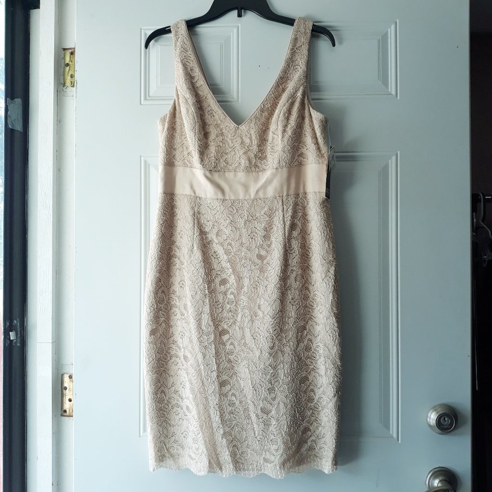 Adrianna Papell Beige Floral Lace Formal Dress 12
